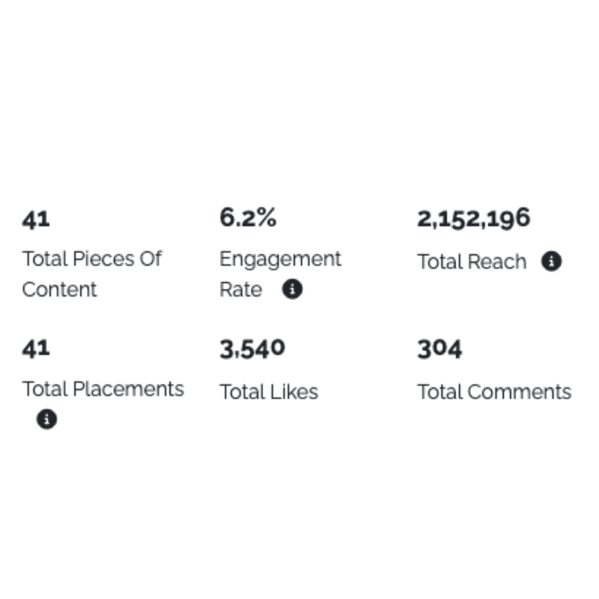 Picture displaying an influencer campaign's metrics