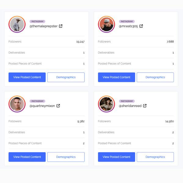 Picture displaying the influencers on an influencer marketing campaign